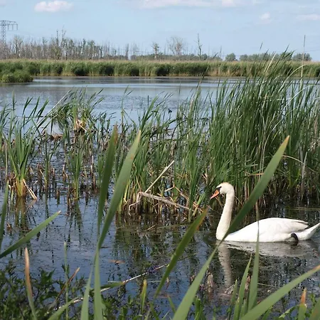 Geers Am Klostersee Dargun