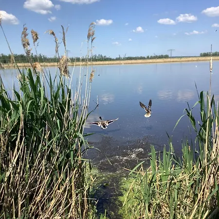別荘 Geers Am Klostersee